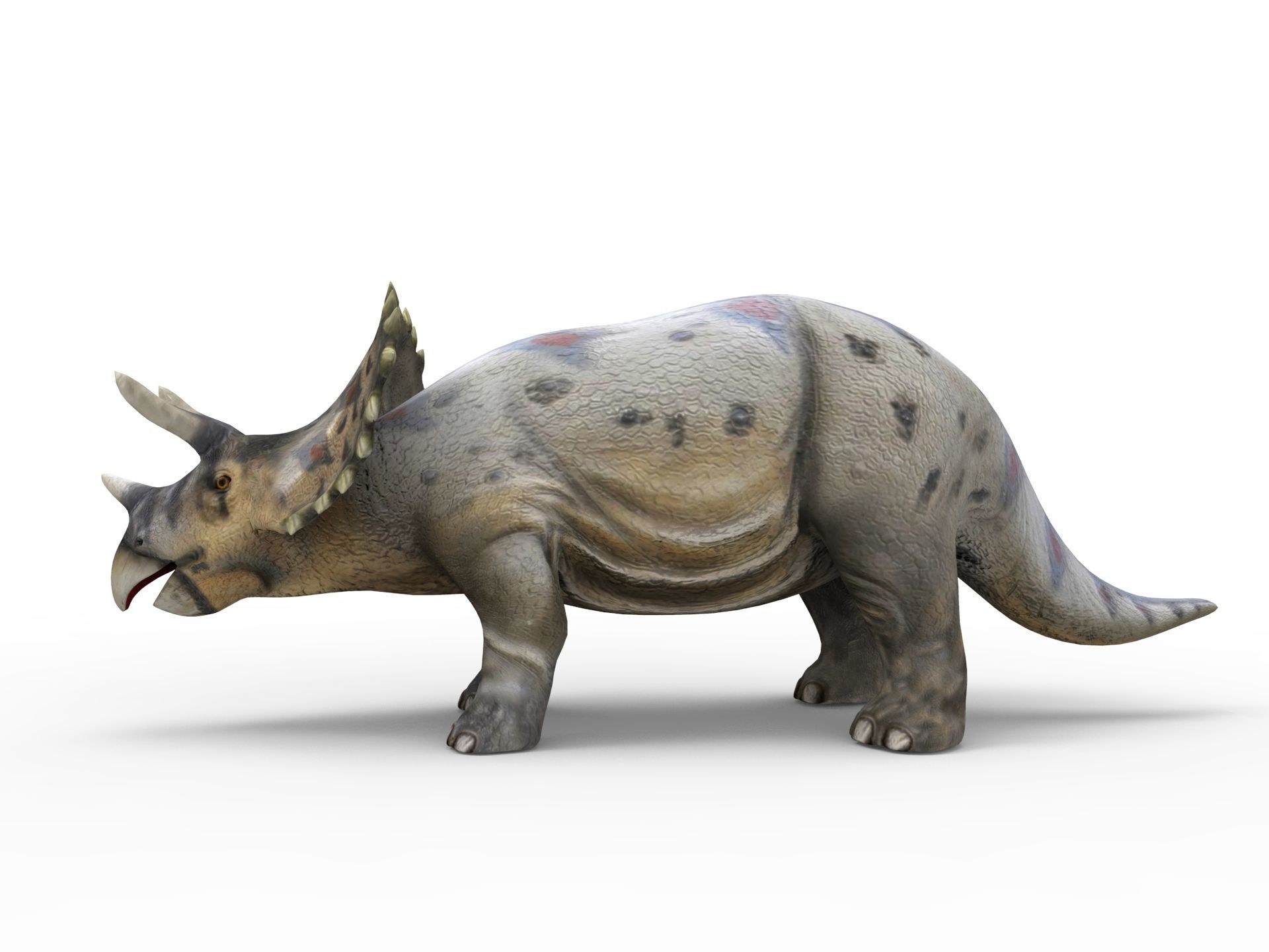 3D Realistic Triceratops Rigged and Animated  Low-poly 3D model_9