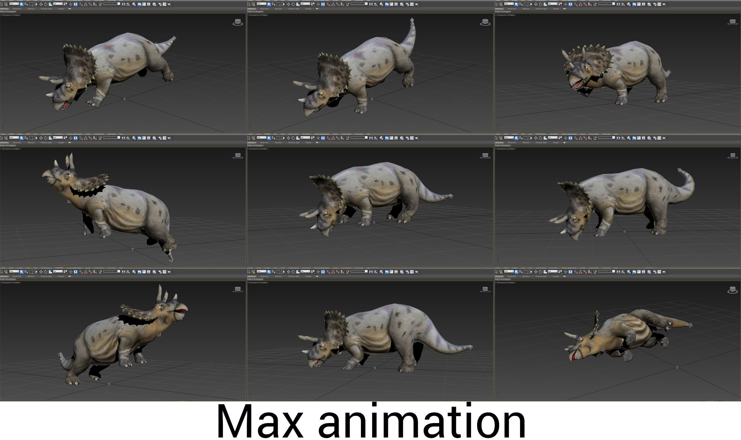 3D Realistic Triceratops Rigged and Animated  Low-poly 3D model_23