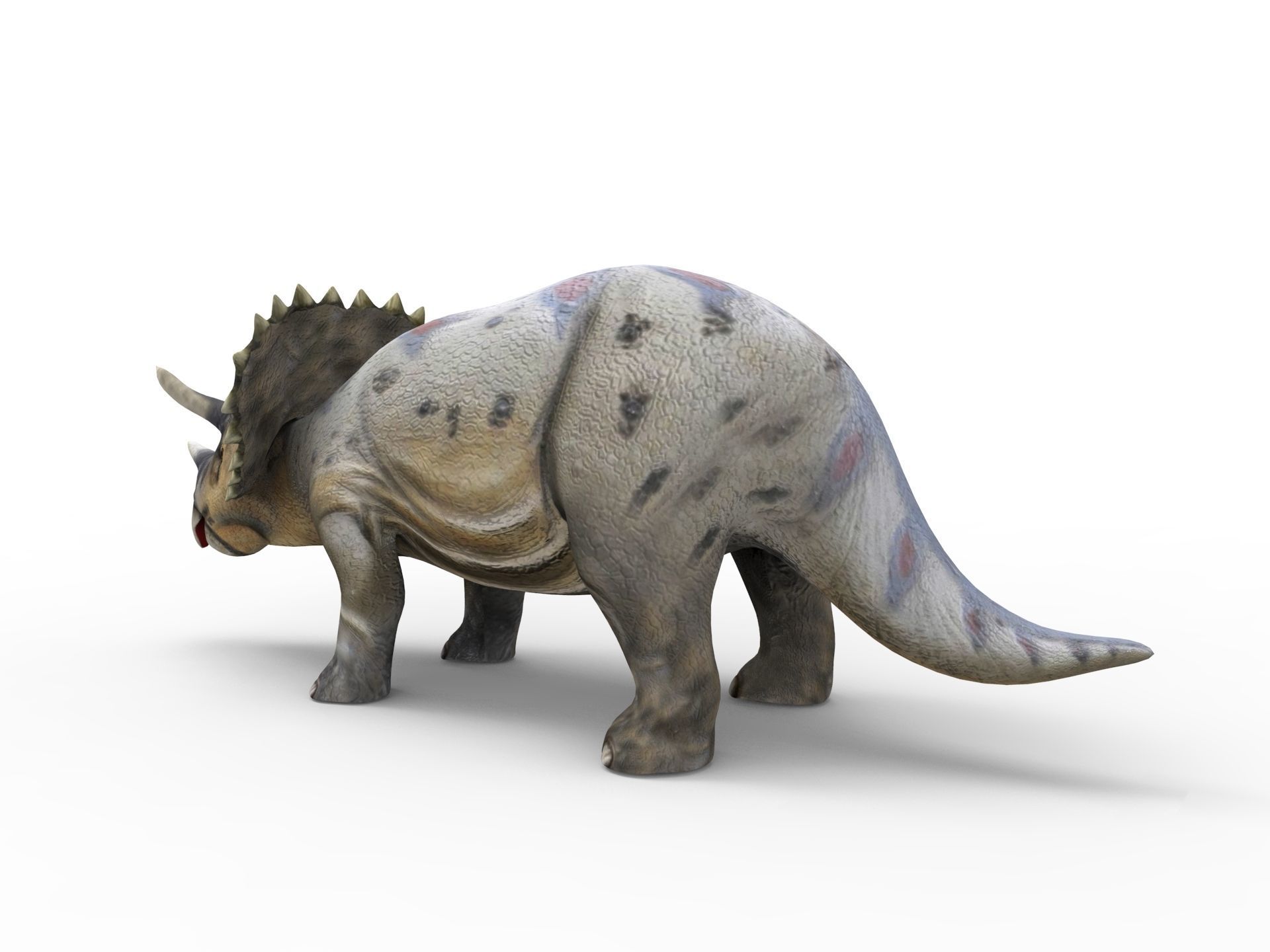 3D Realistic Triceratops Rigged and Animated  Low-poly 3D model_8