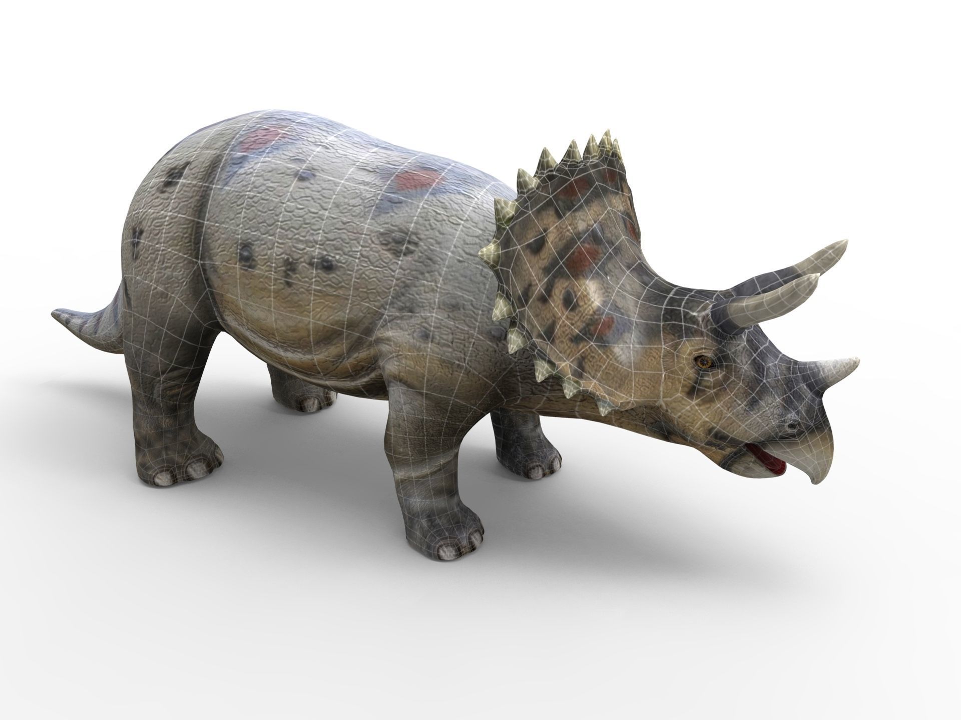 3D Realistic Triceratops Rigged and Animated  Low-poly 3D model_18