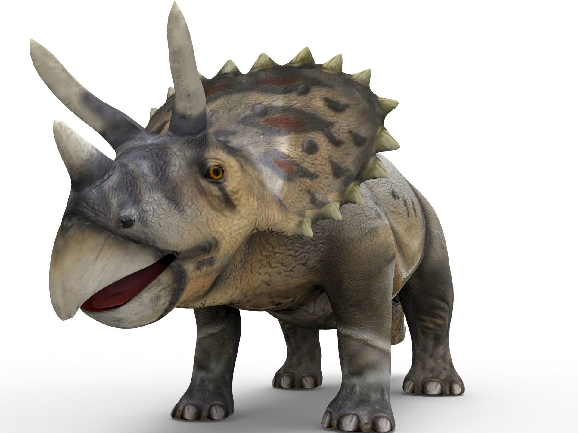 3D Realistic Triceratops Rigged and Animated  Low-poly 3D model_12
