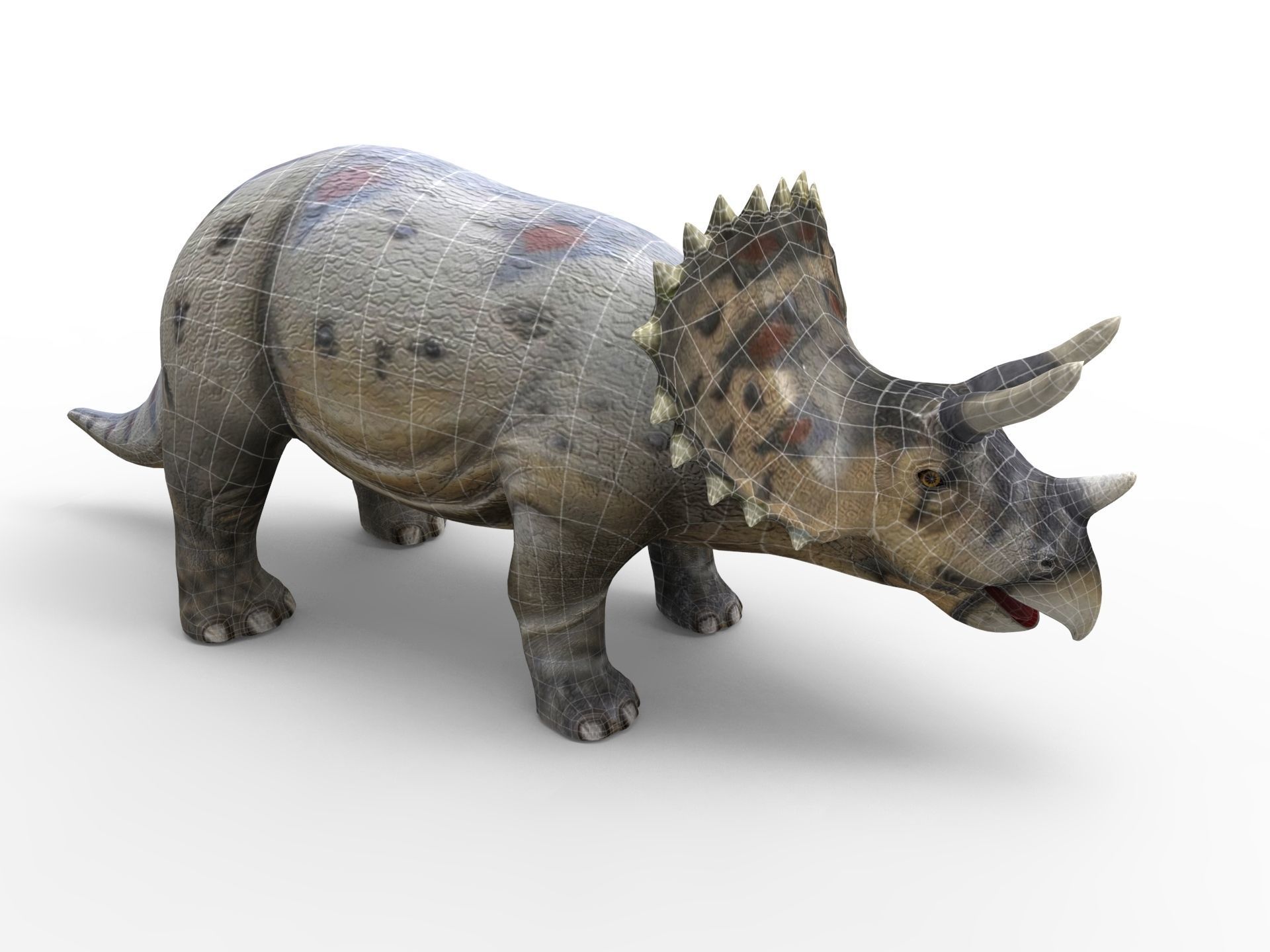 3D Realistic Triceratops Rigged and Animated  Low-poly 3D model_17