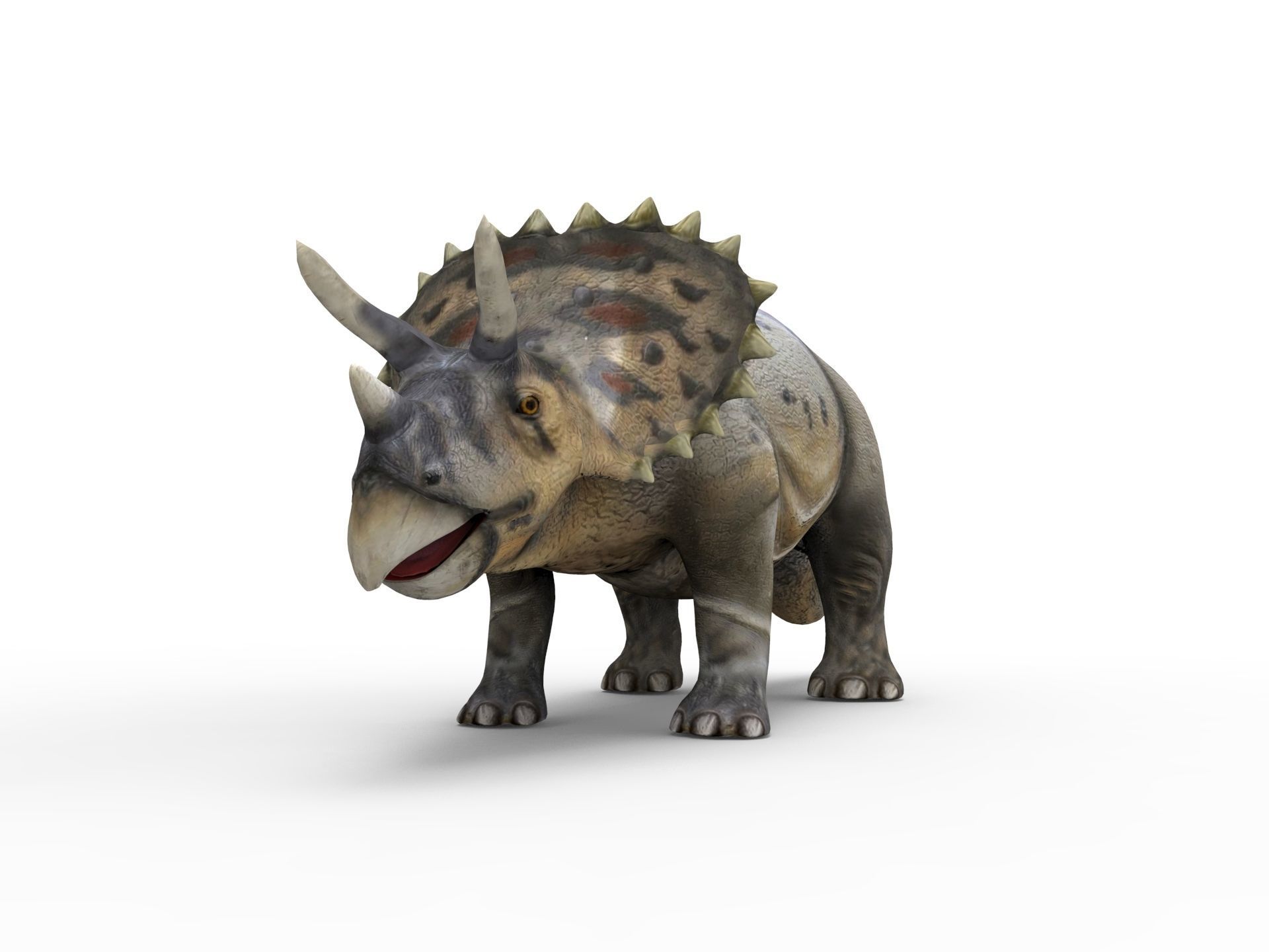 3D Realistic Triceratops Rigged and Animated  Low-poly 3D model_2