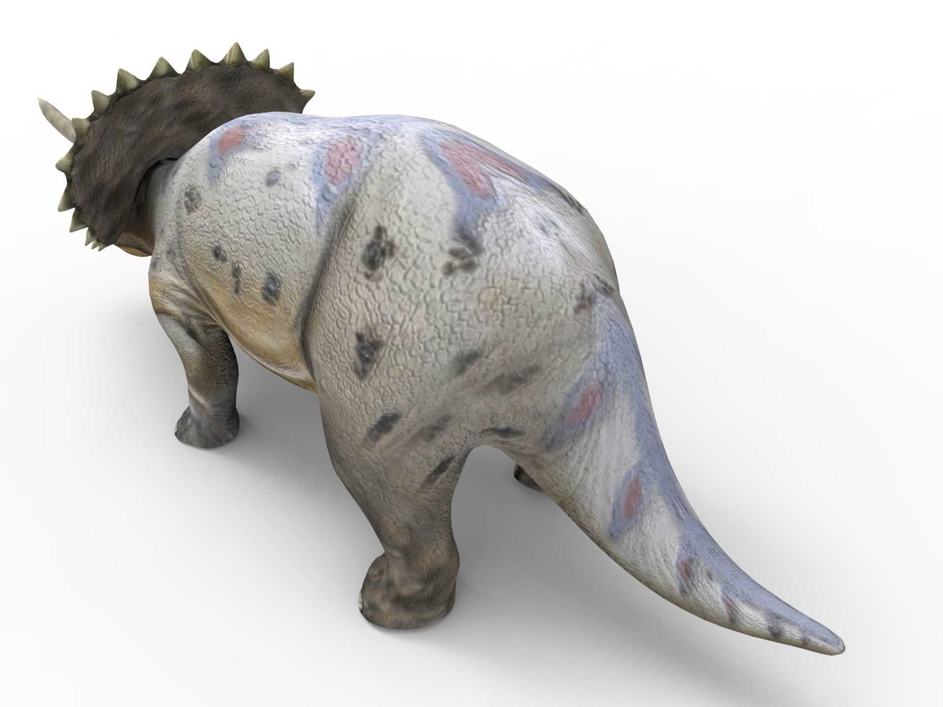 3D Realistic Triceratops Rigged and Animated  Low-poly 3D model_11