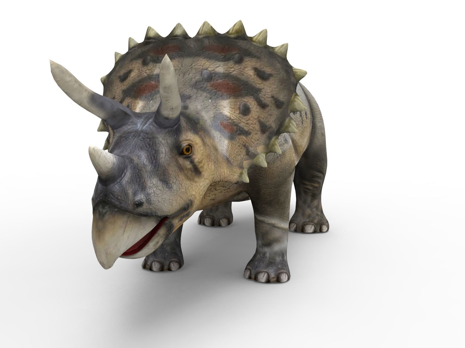 3D Realistic Triceratops Rigged and Animated  Low-poly 3D model_10