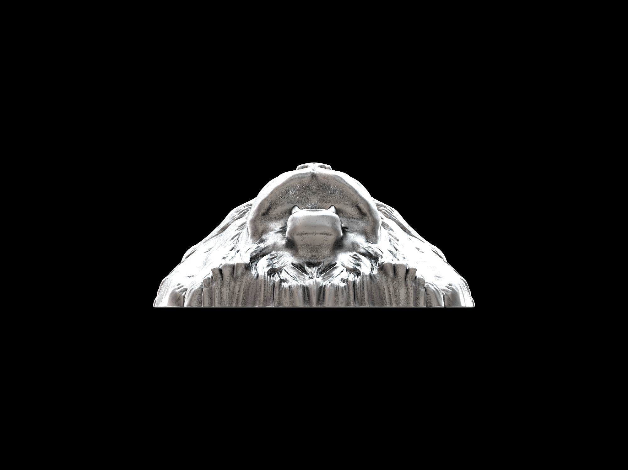 Cat Pallass manul 3D print model 3D print model_19