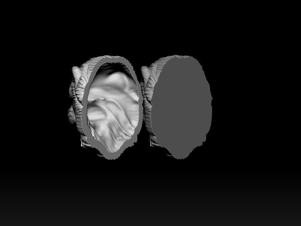 Cat Pallass manul 3D print model 3D print model_2