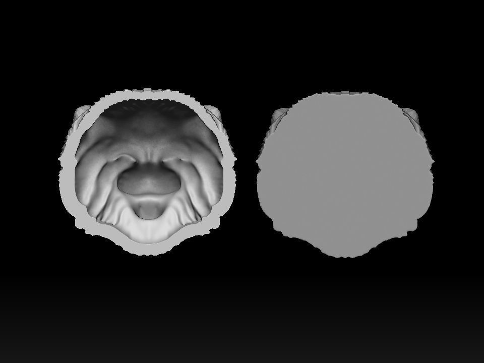 Cat Pallass manul 3D print model 3D print model_3