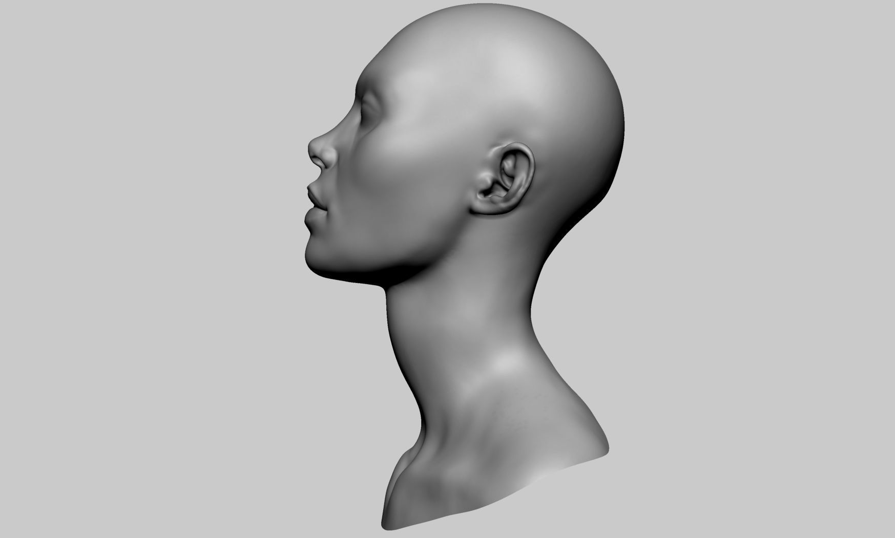 Base Female Head v7 3D model_5