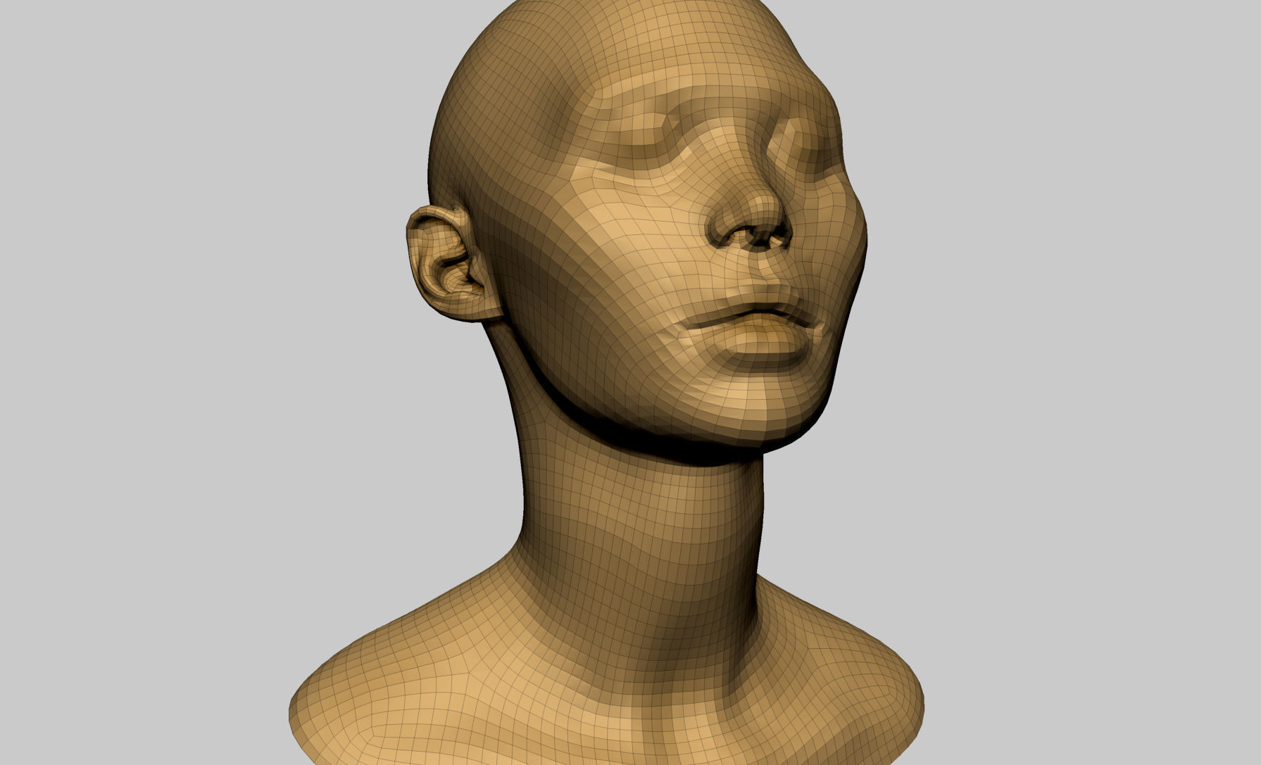 Base Female Head v7 3D model_7