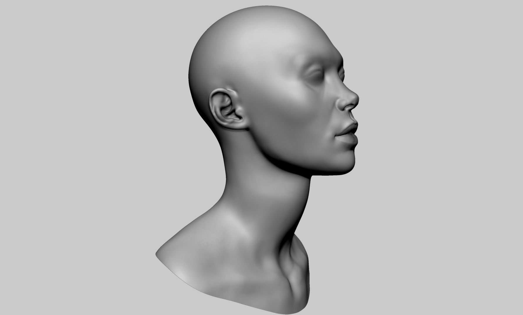 Base Female Head v7 3D model_1