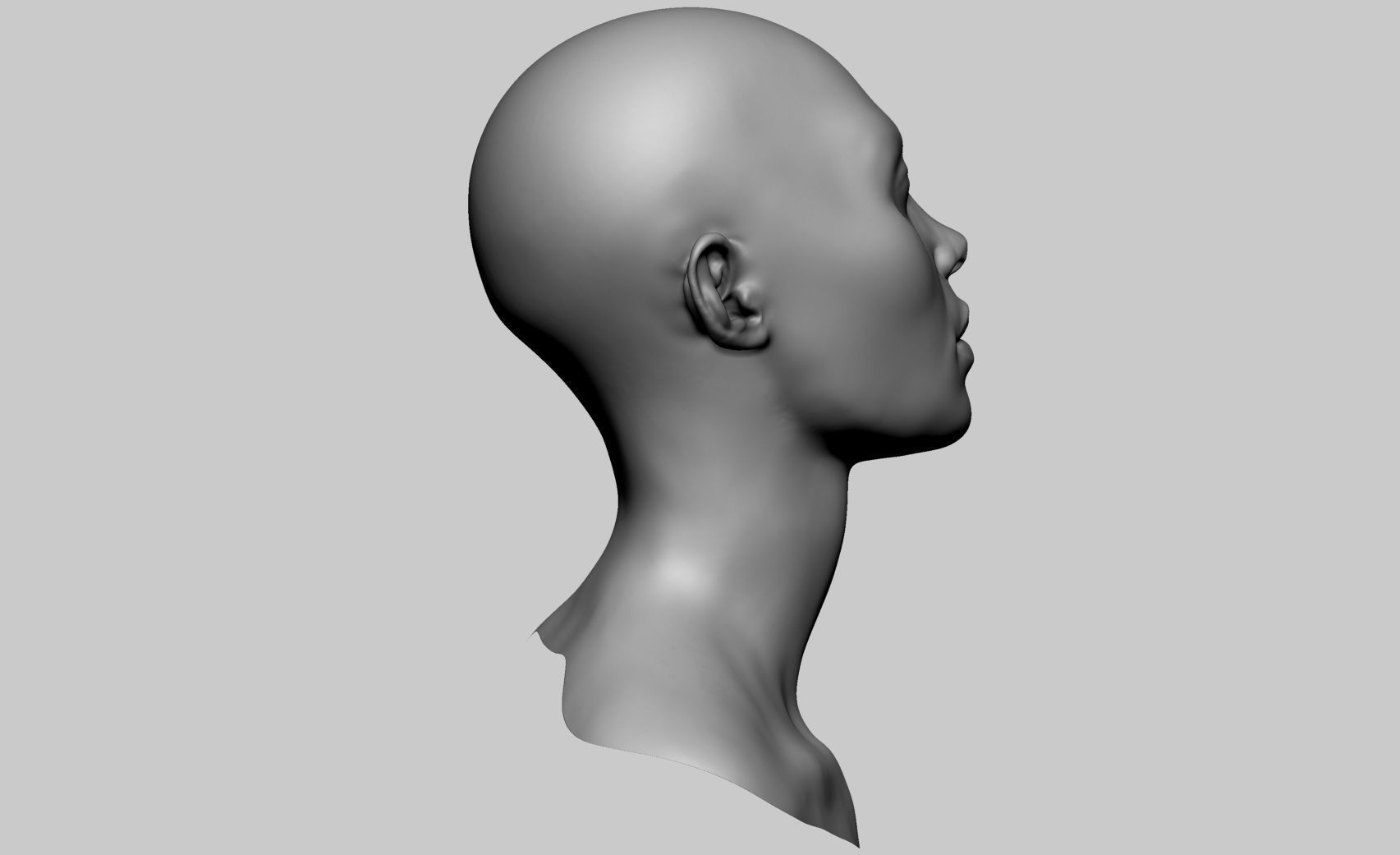 Base Female Head v7 3D model_2