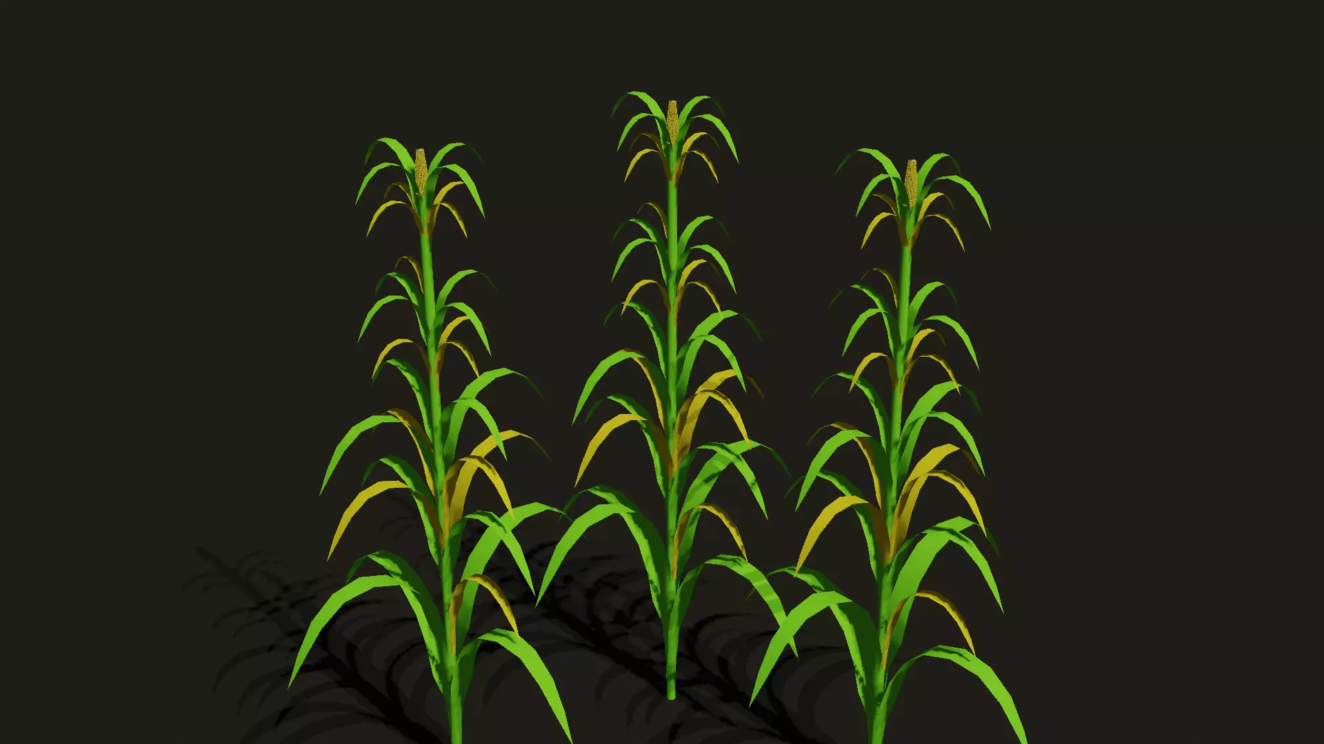 Corn plant Low-poly 3D model_0
