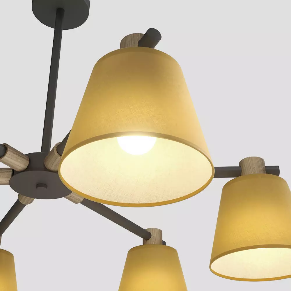 Lampatron Natura A 6 lamps 3D model_1