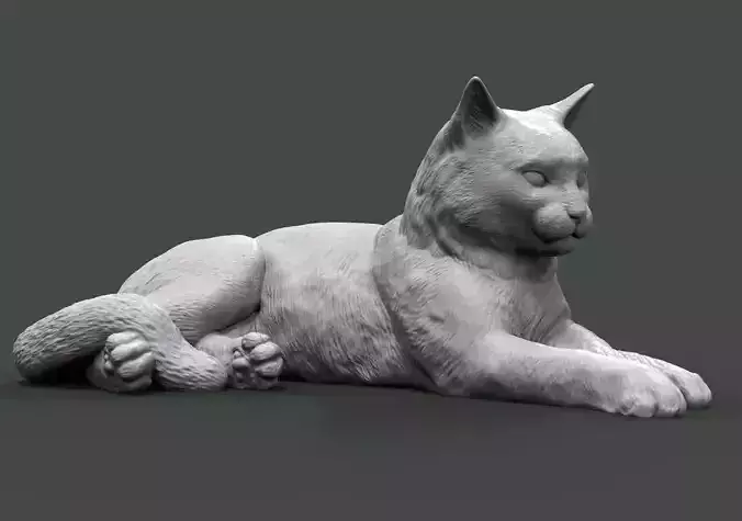 Cat for 3d printing 3D print model