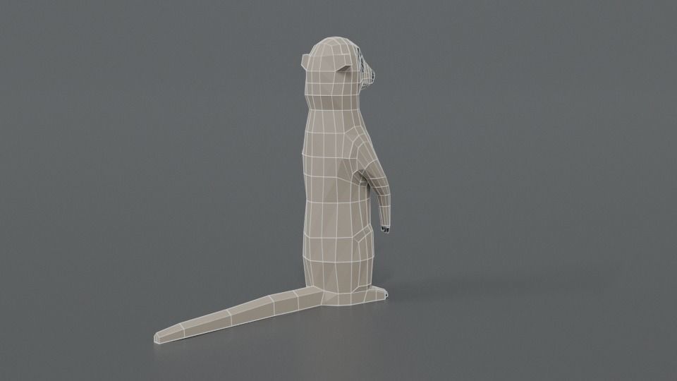 Low Poly Cartoon Meerkat Low-poly 3D model_13