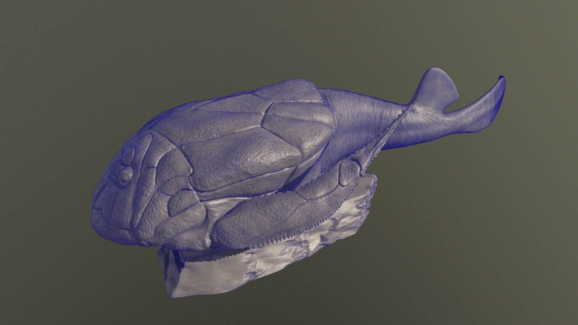 Bothriolepsis fish 3D print model_7