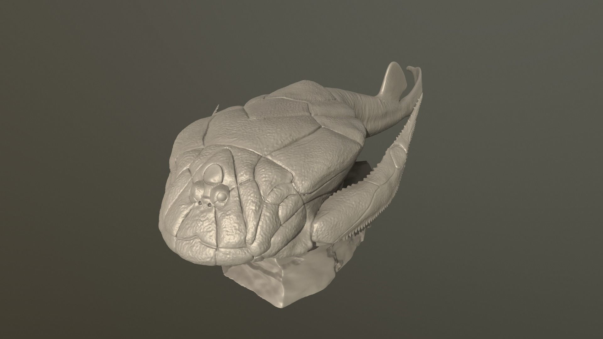 Bothriolepsis fish 3D print model_3