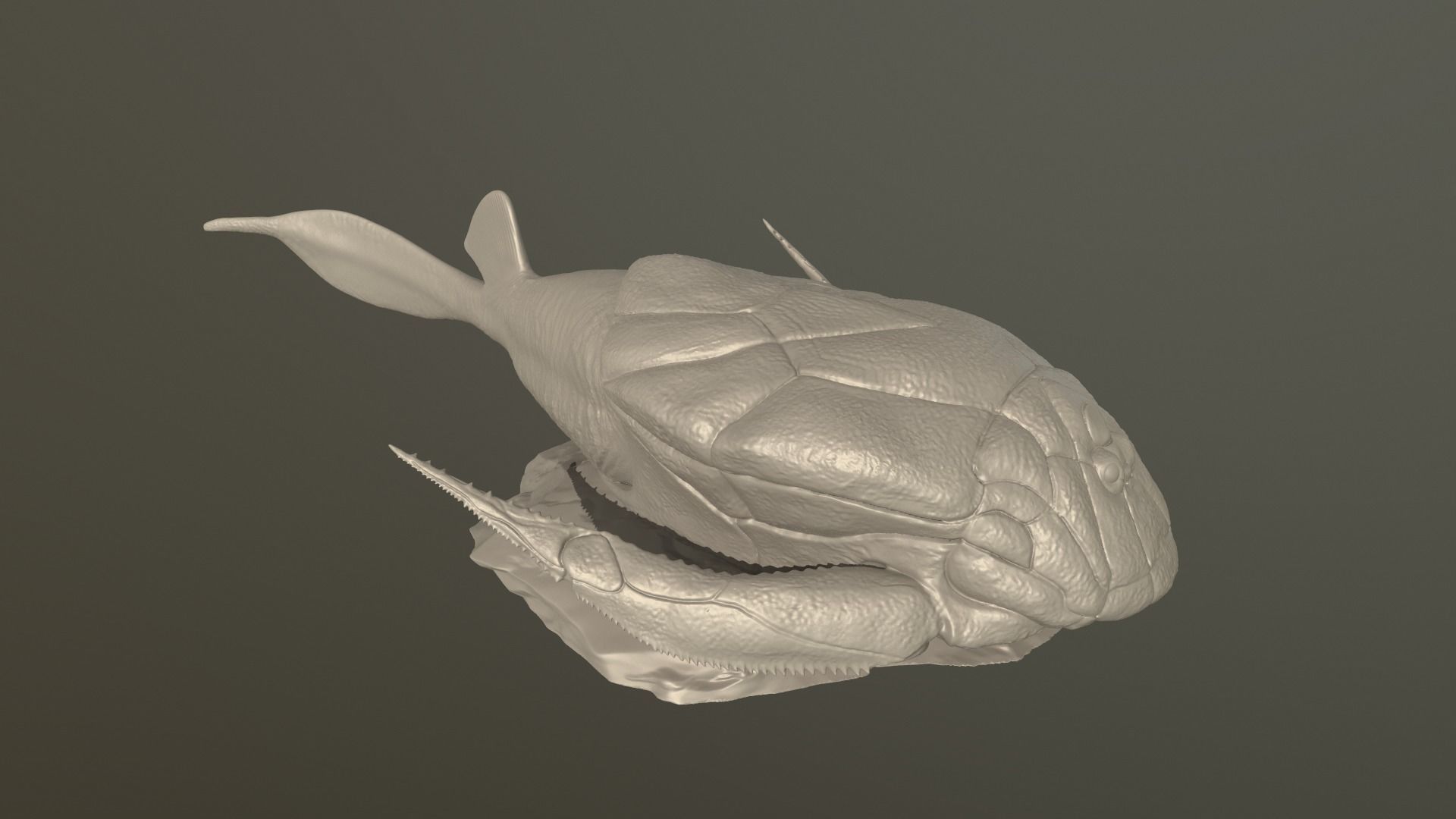 Bothriolepsis fish 3D print model_5
