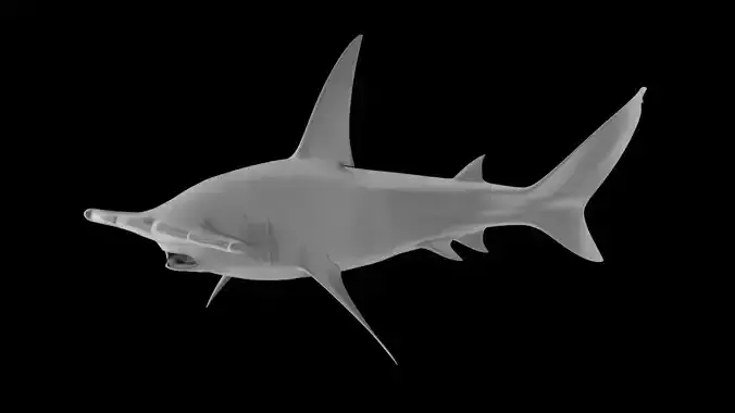 Great Hammerhead Predator 3D Printable 3D print model