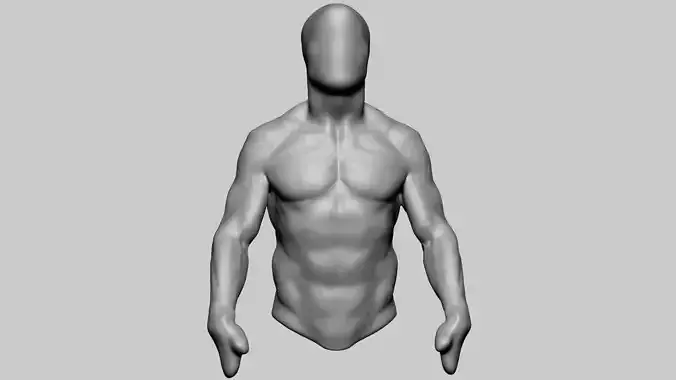 Male Torso v7