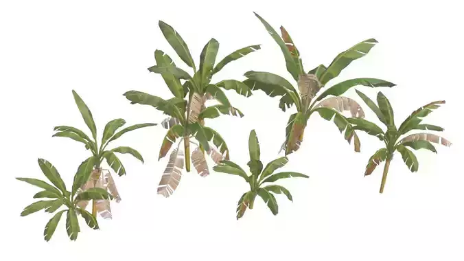 Banana Trees 01 Low-poly 3D model