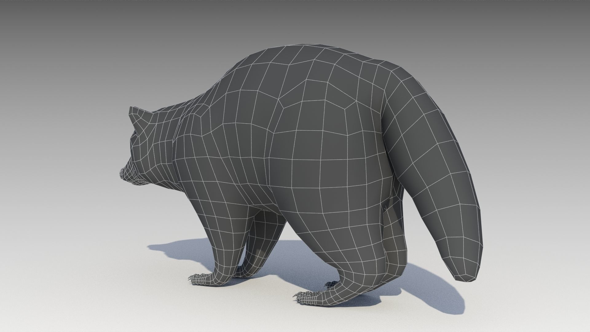 Raccoon Animated Low-poly 3D model_21