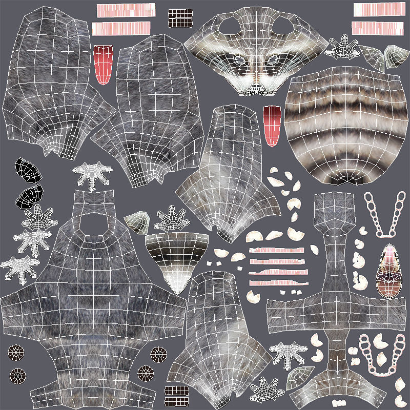 Raccoon Animated Low-poly 3D model_22