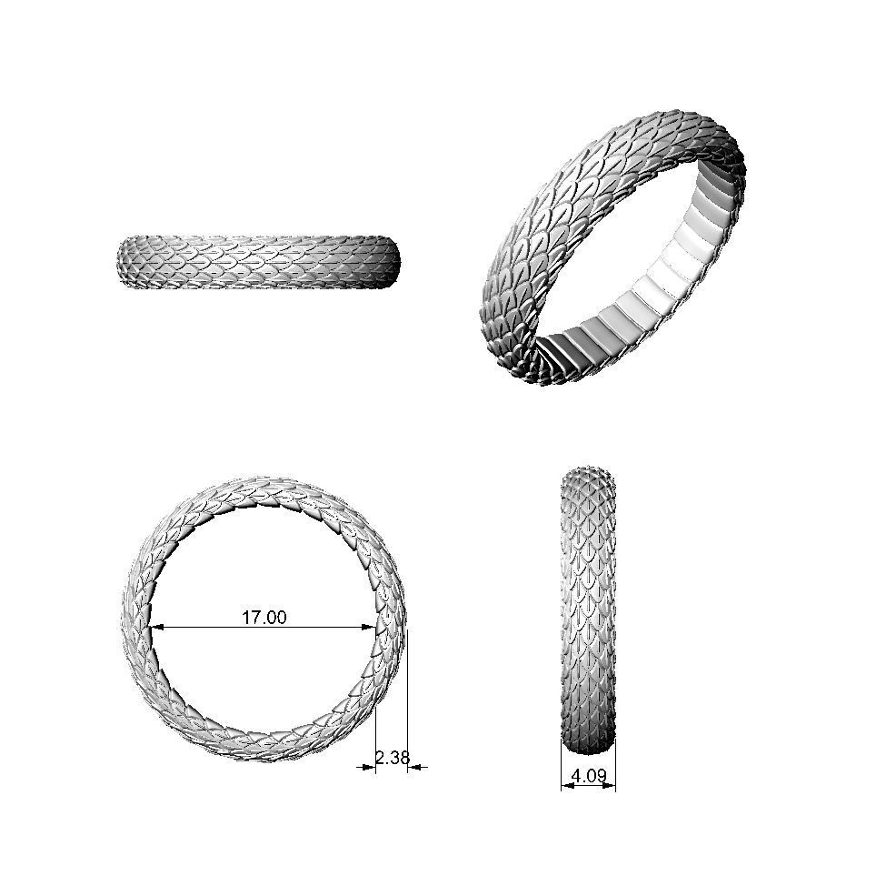 N025 Snake small texture ring 3D print model_3