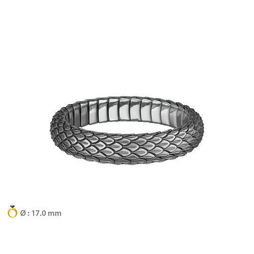 N025 Snake small texture ring 3D print model