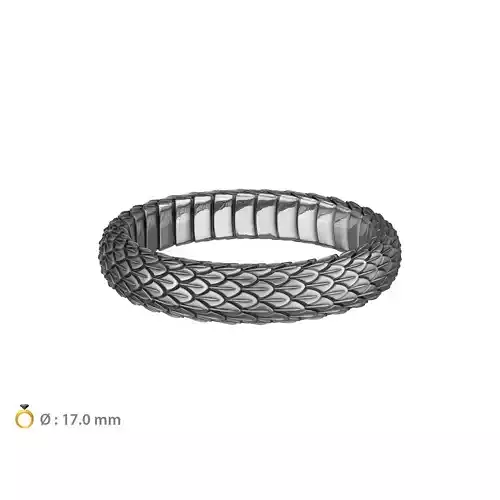 N025 Snake small texture ring