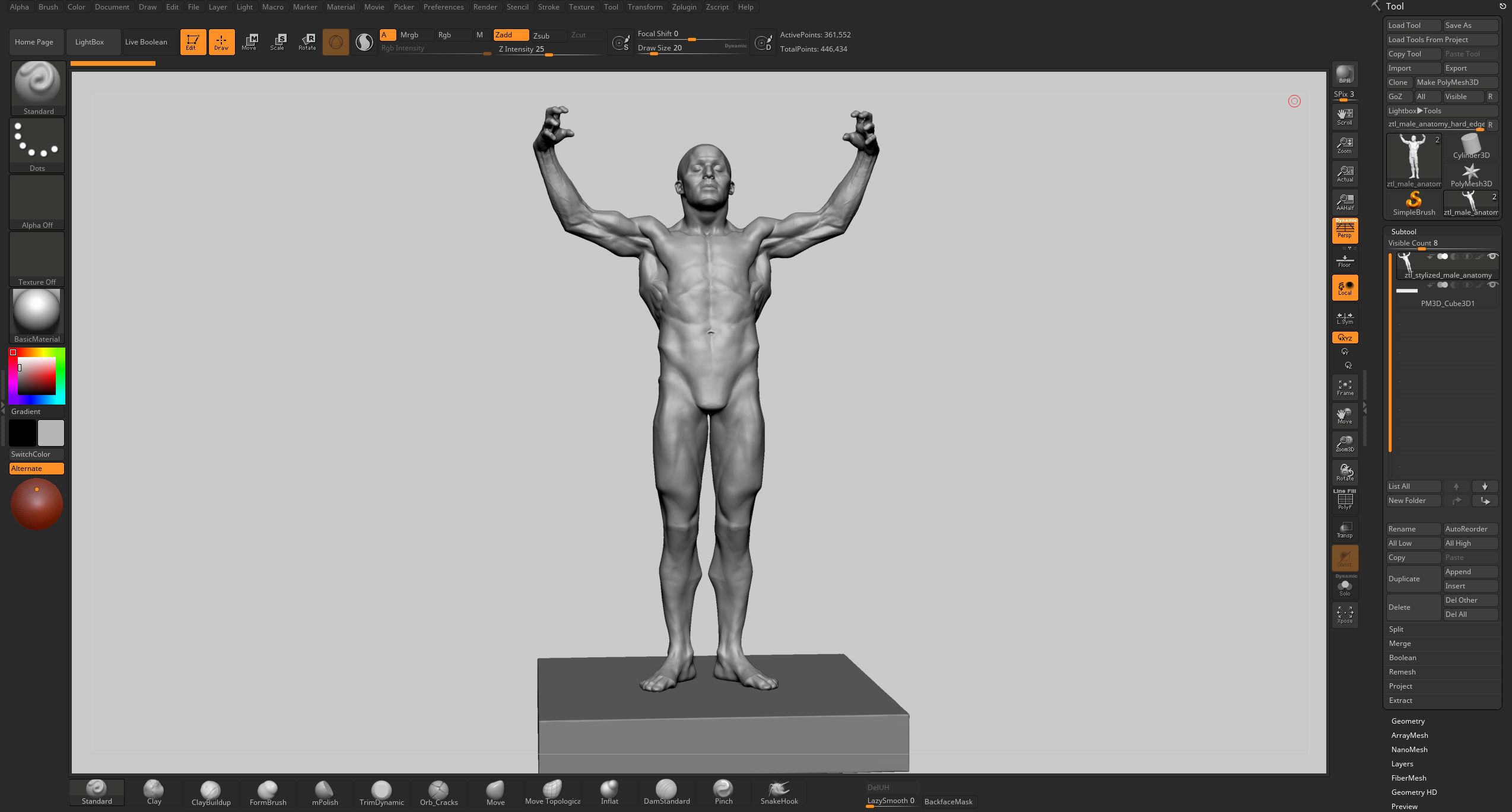 Stylized Male Anatomy 3D model_12