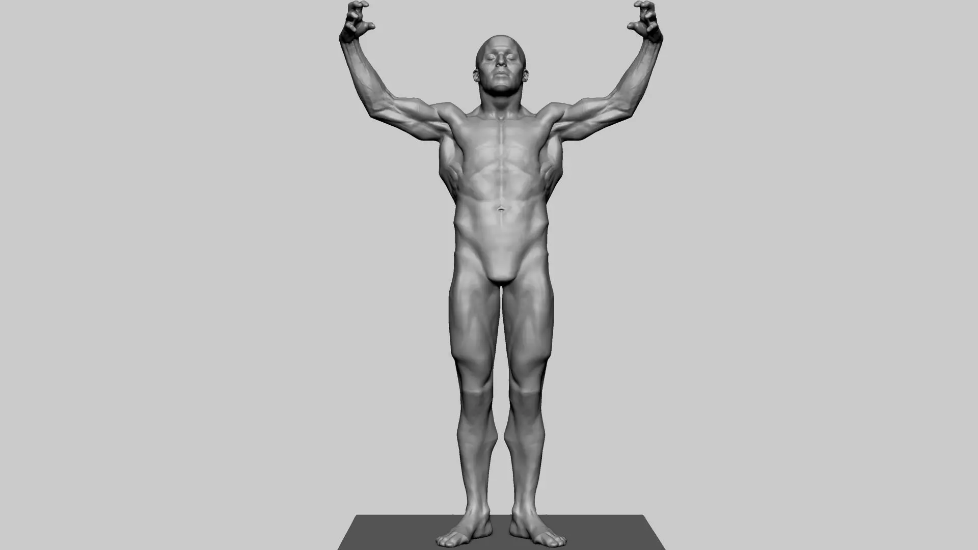 Stylized Male Anatomy 3D model_0