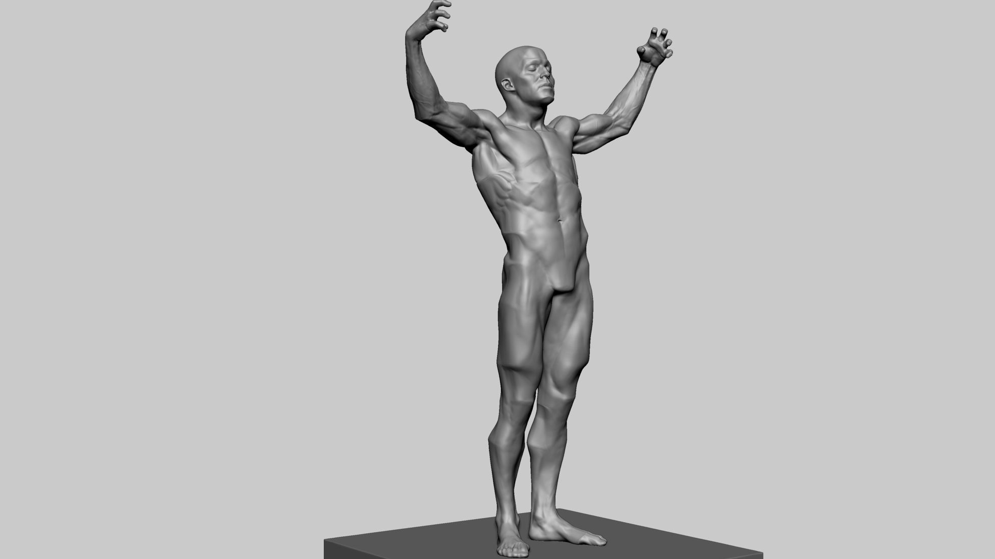 Stylized Male Anatomy 3D model_1
