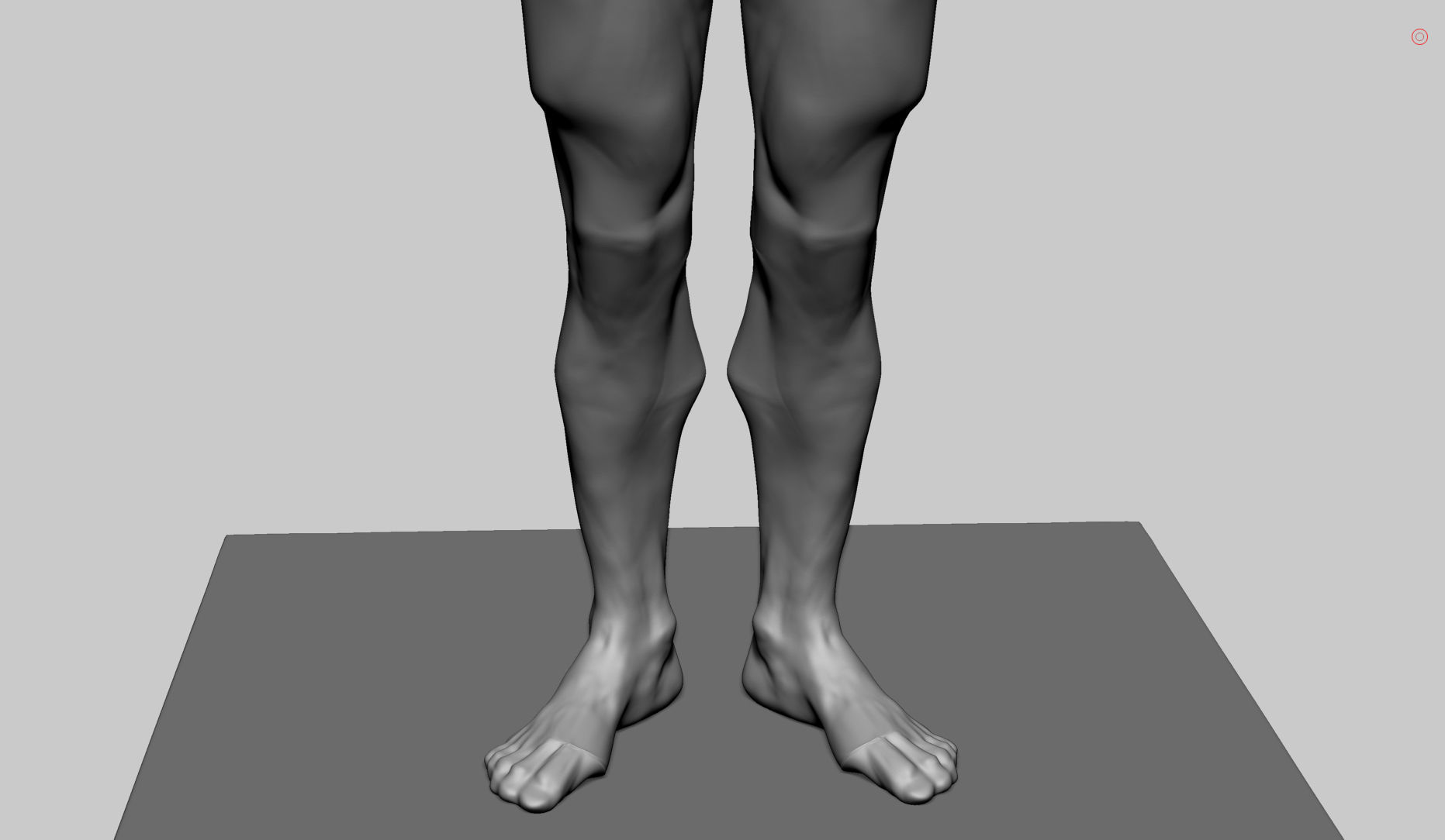 Stylized Male Anatomy 3D model_10