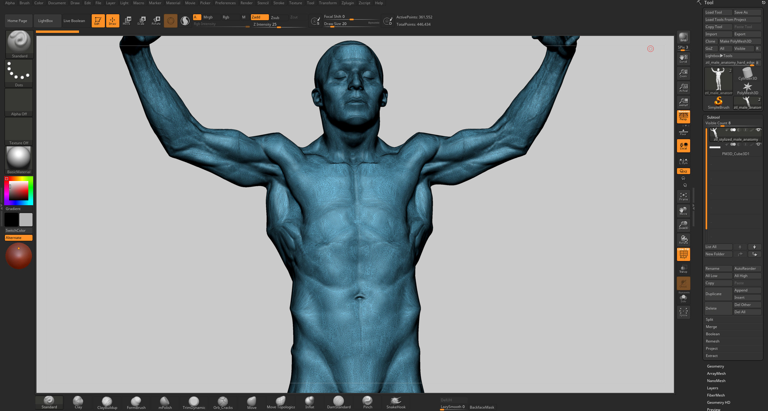 Stylized Male Anatomy 3D model_13