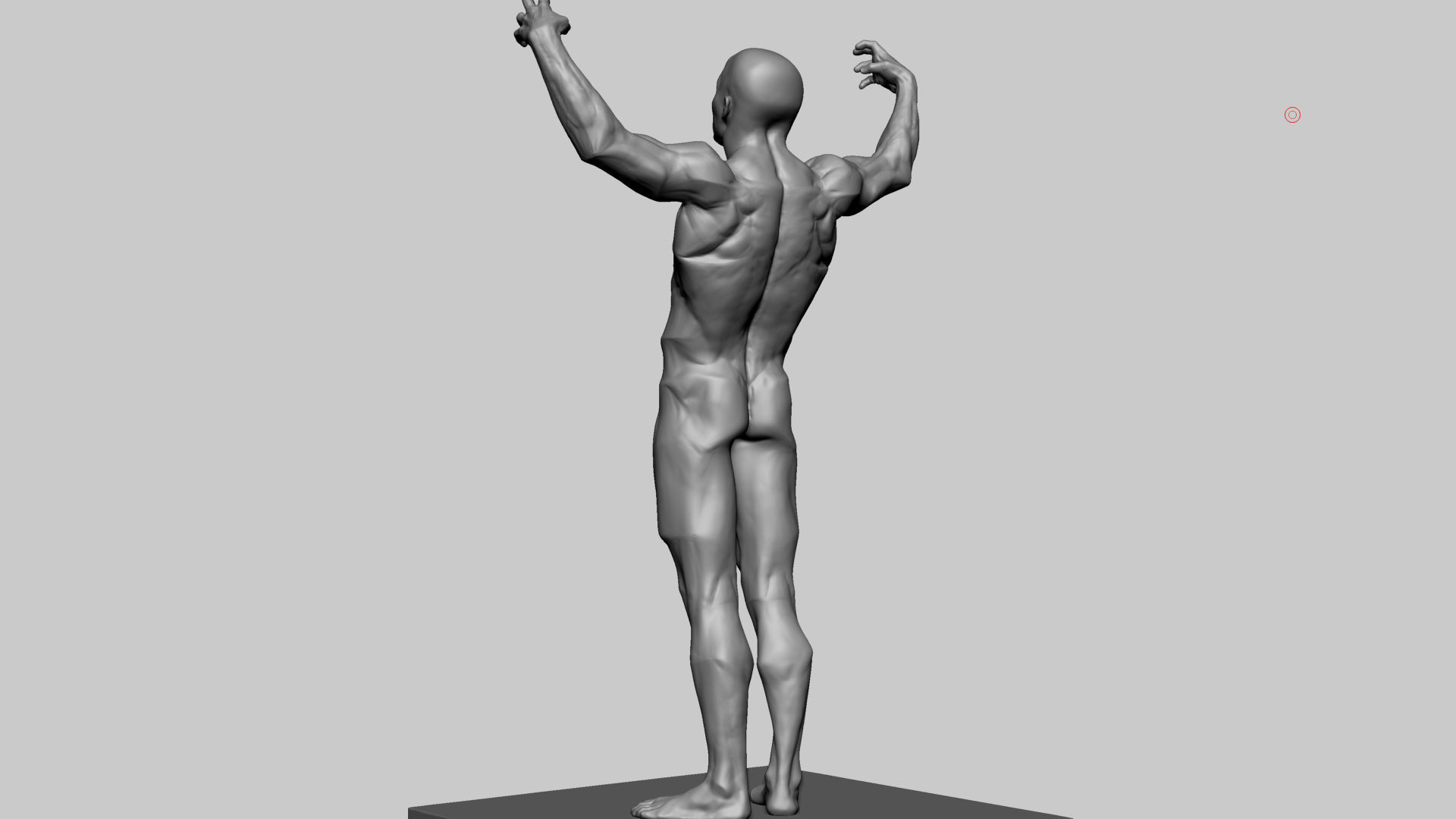 Stylized Male Anatomy 3D model_5
