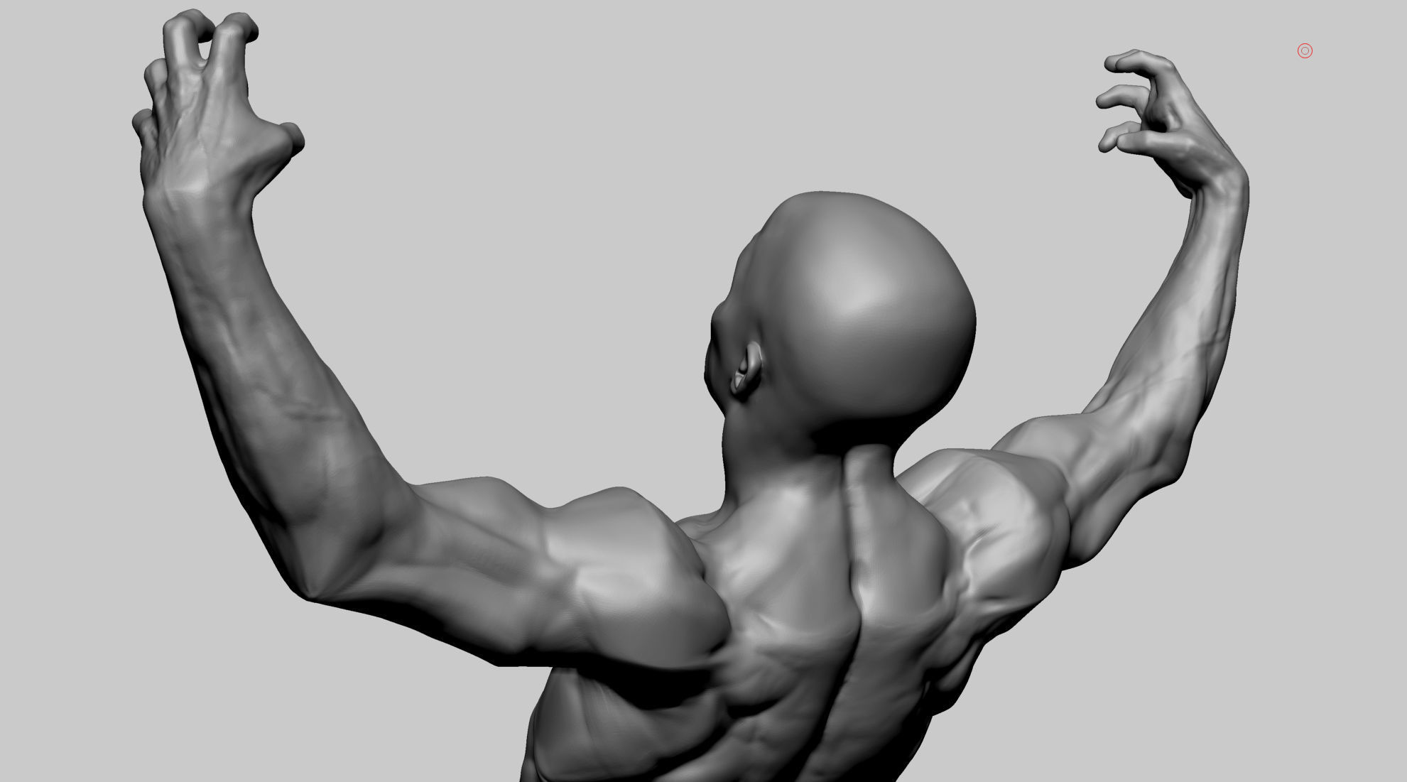 Stylized Male Anatomy 3D model_9