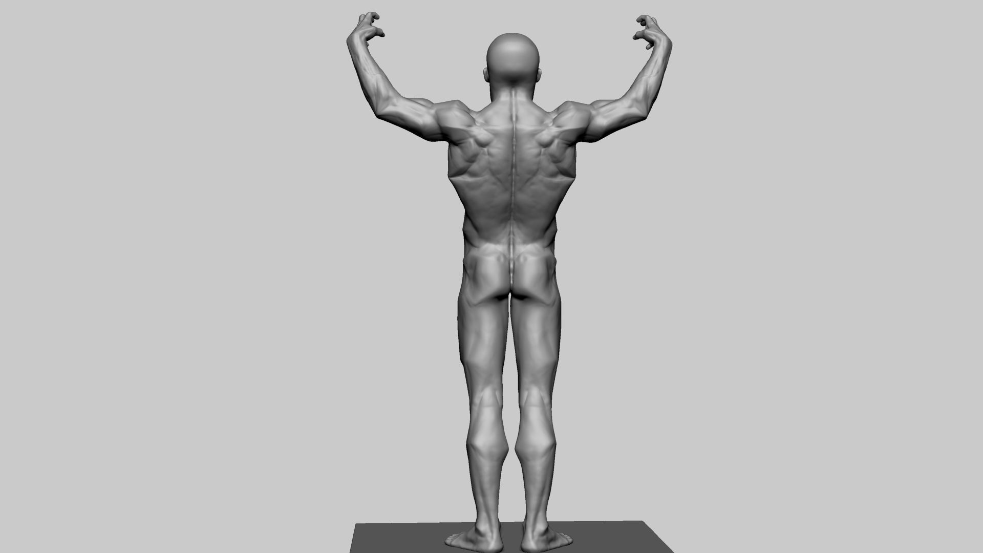 Stylized Male Anatomy 3D model_4