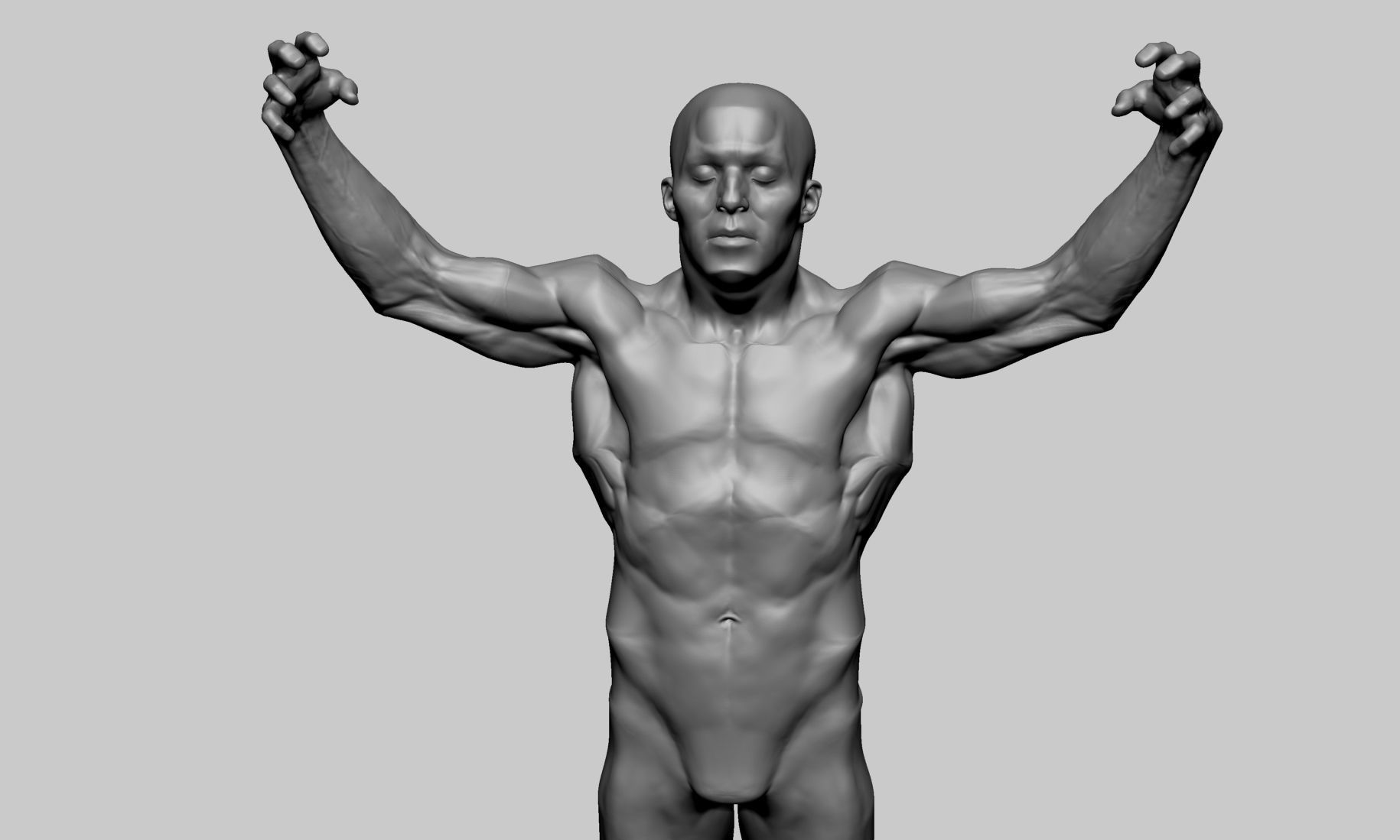 Stylized Male Anatomy 3D model_7