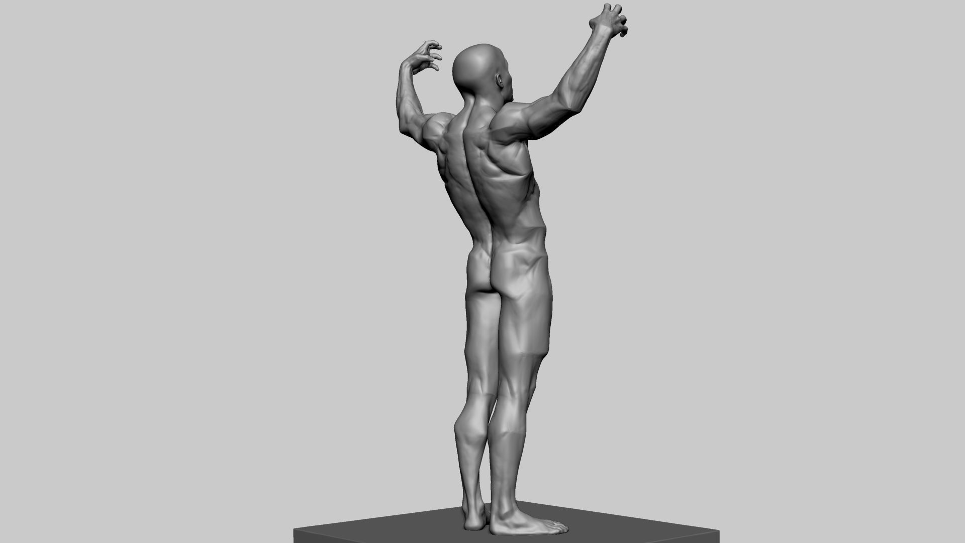 Stylized Male Anatomy 3D model_3