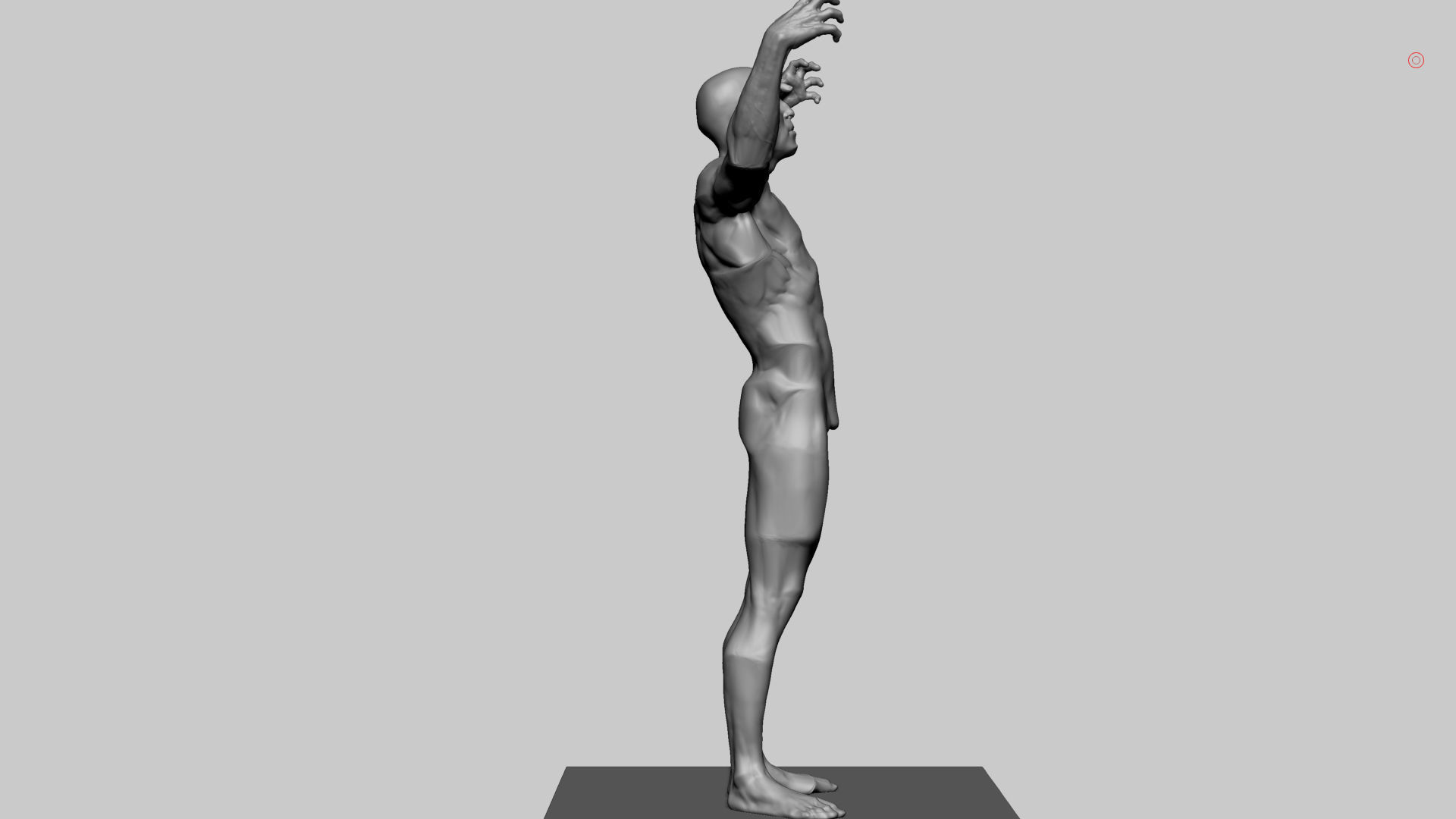 Stylized Male Anatomy 3D model_2