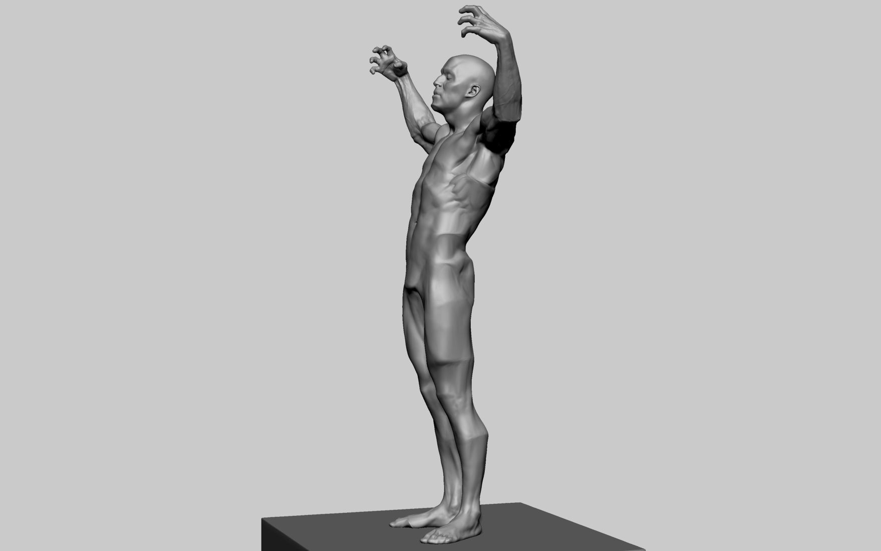 Stylized Male Anatomy 3D model_6