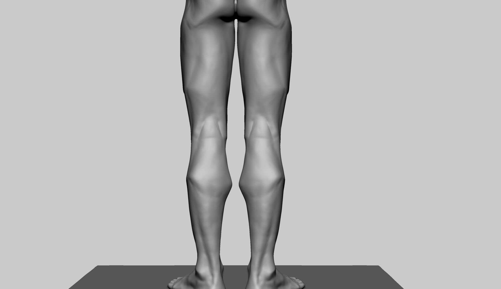 Stylized Male Anatomy 3D model_11