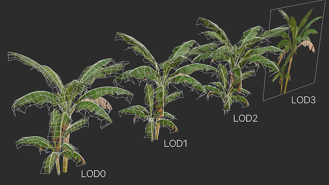 Banana Trees 03 Low-poly 3D model 2