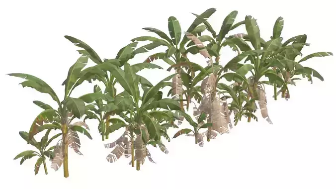 Banana Trees 03 Low-poly 3D model