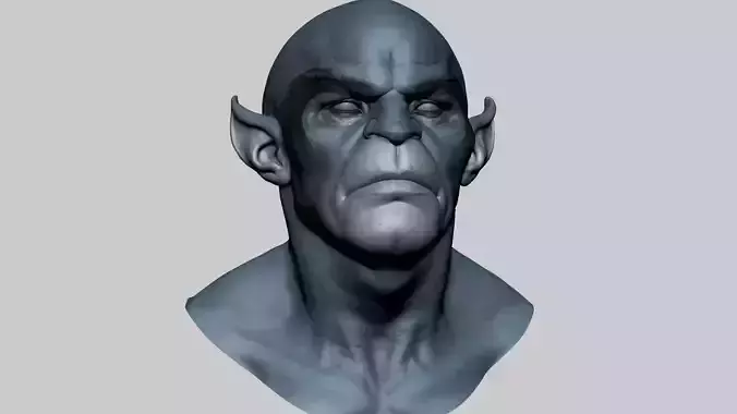 Panthro Head
