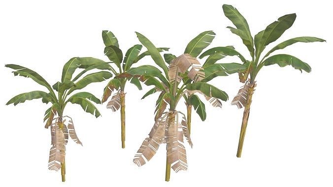 Banana Trees 02 Low-poly 3D model