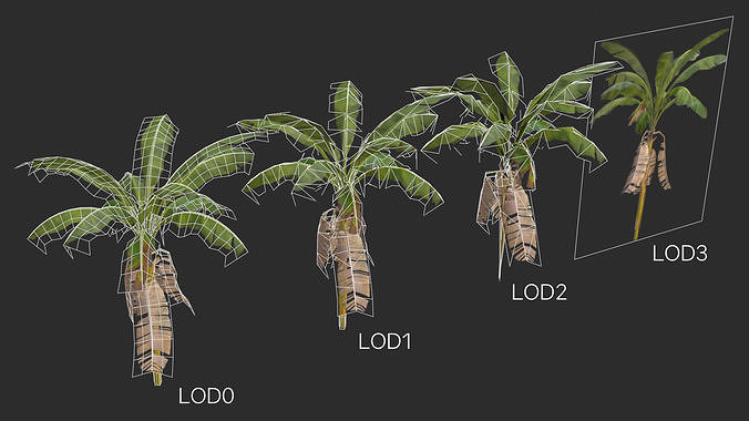 Banana Trees 02 Low-poly 3D model 3