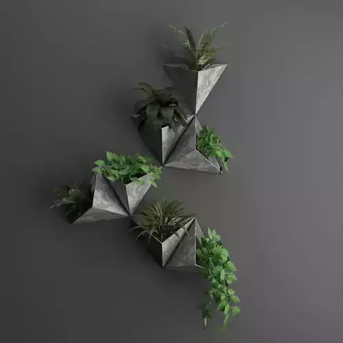 wall plant 1